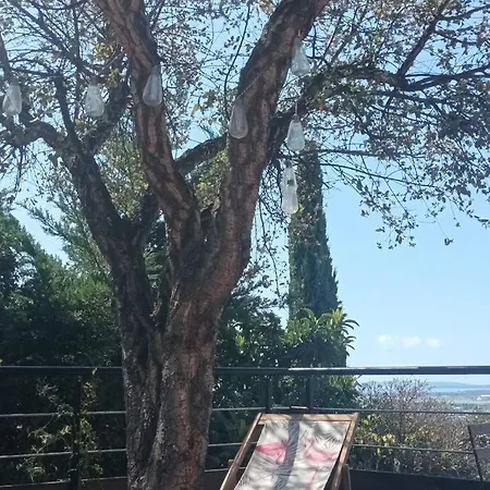 T2 Terrasse Arboree Vue 아파트 *